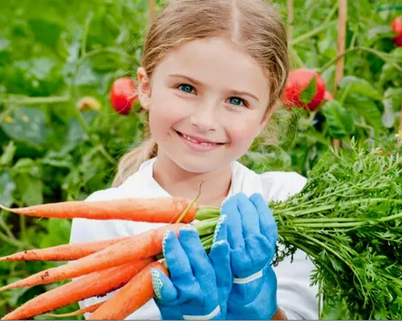 Cultive uma hortinha e estimule seu filho a comer melhor