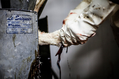 Foie gras pode ser proibido na cidade de São Paulo