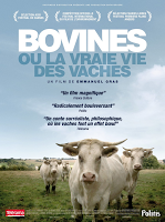 Bovines, a real vida das vacas