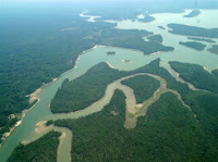 Amazônia está emitindo cada vez mais gás-estufa