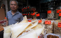 Sopa de barbatana de tubarão: iguaria chinesa causa indignação entre os ecologistas